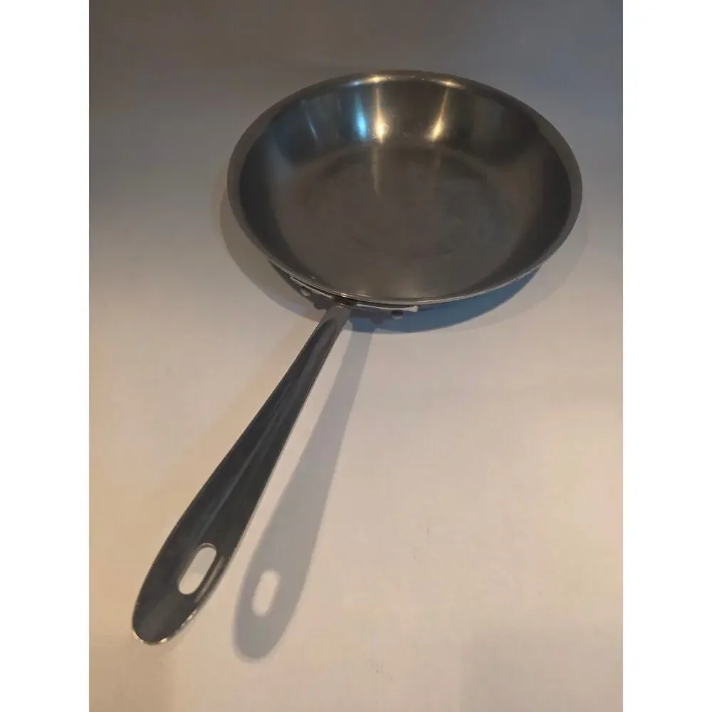 All-Clad Stainless Steel Fry Pan Skillet 10